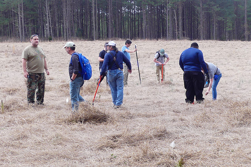 Seedlings being planted.