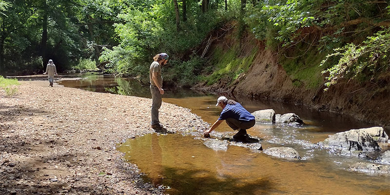 Winthrop University Explores Reptile Research