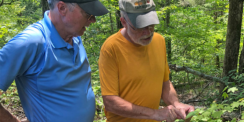 Alan Weakley identifying flora growing in our woodlands.