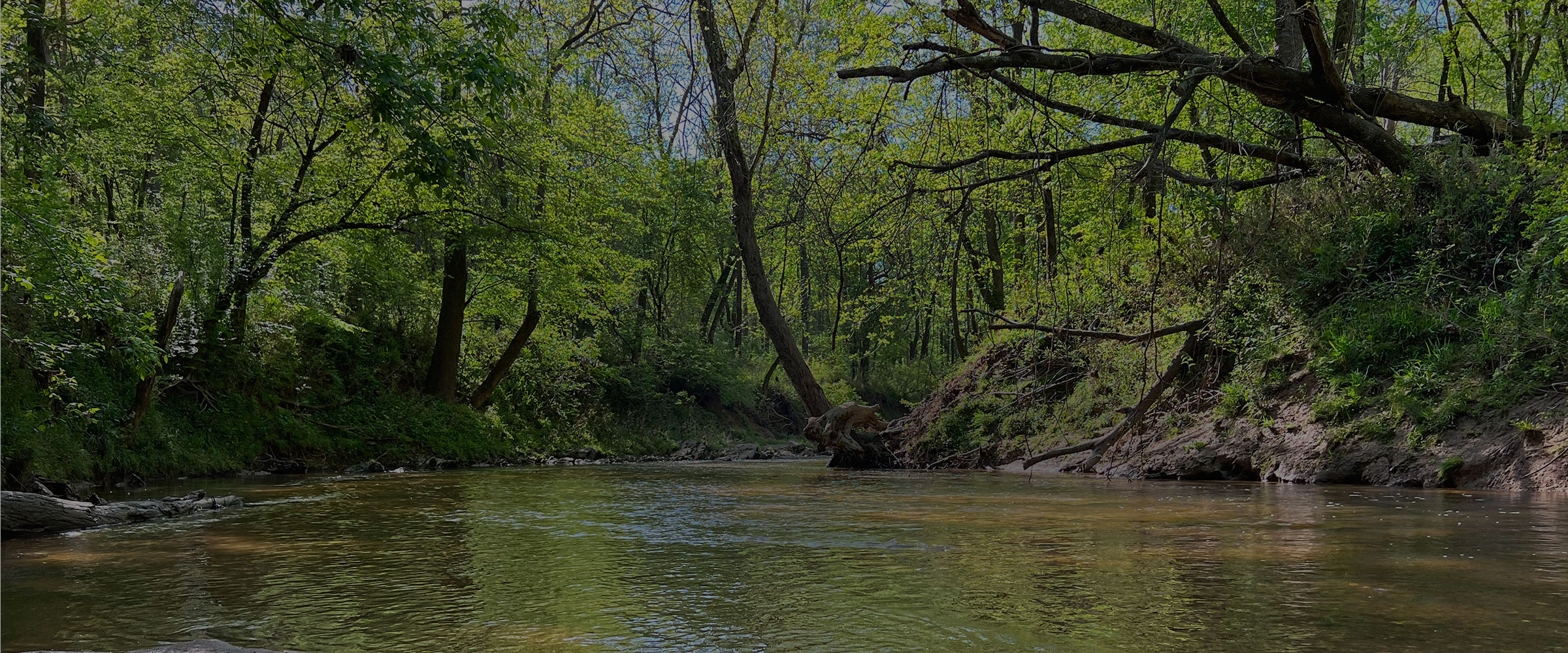 Carolina Wildlands Foundation
