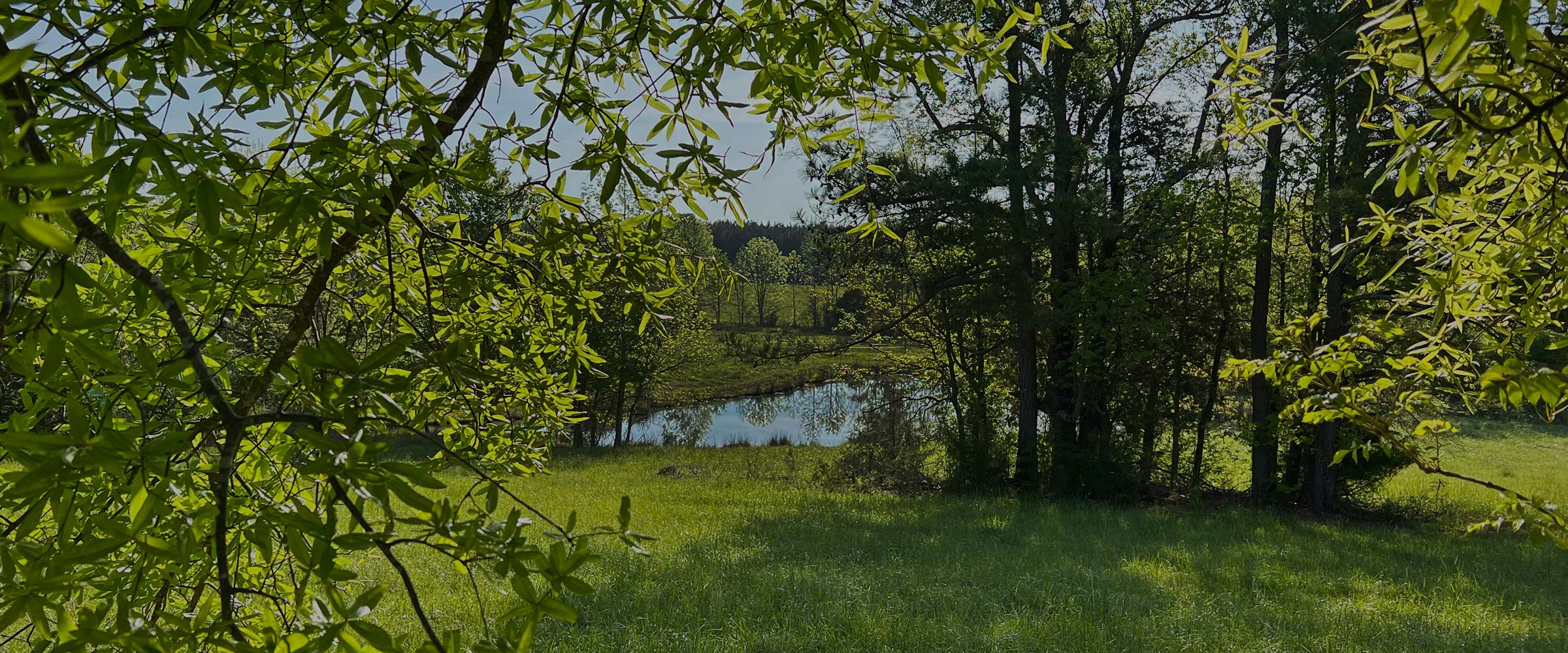 Carolina Wildlands Foundation