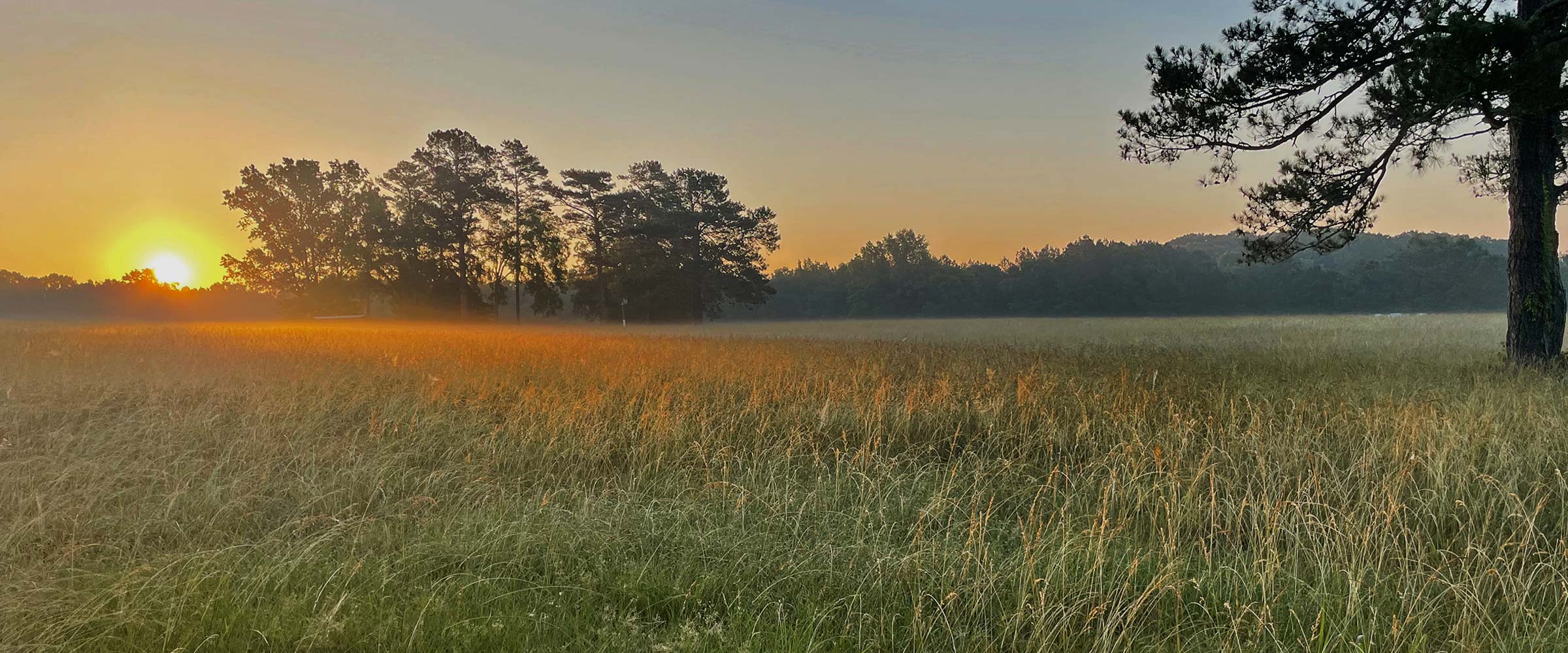 Carolina Wildlands Foundation