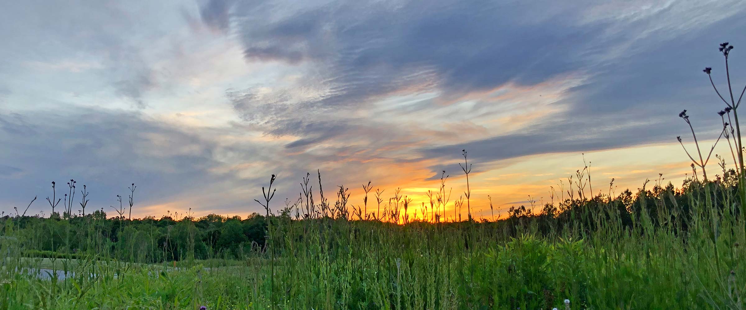 Carolina Wildlands Foundation