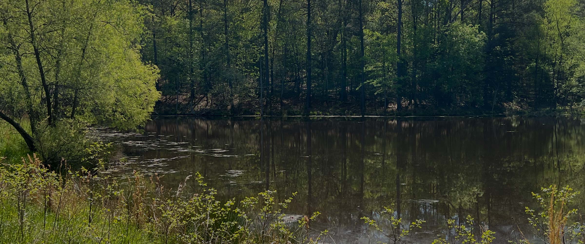 Carolina Wildlands Foundation