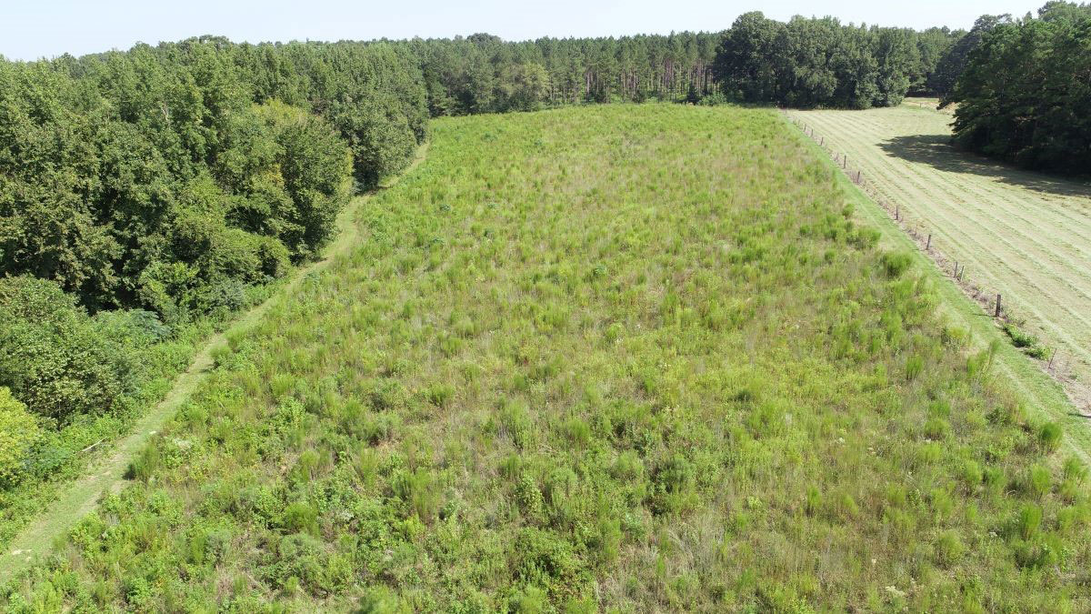Prairie Update - September 2023