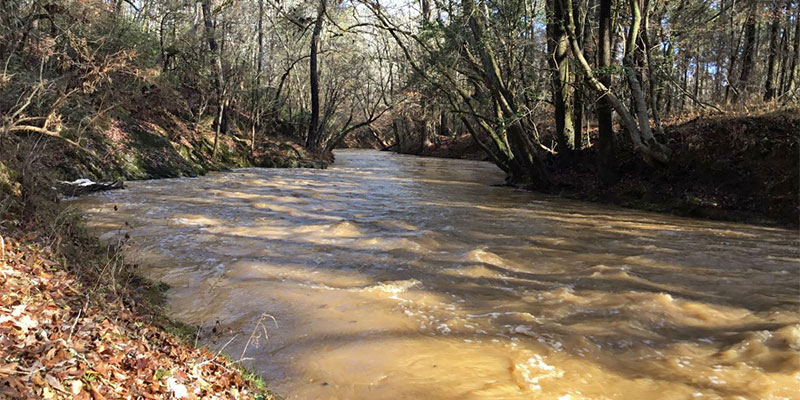 Thompson Creek with high water level.