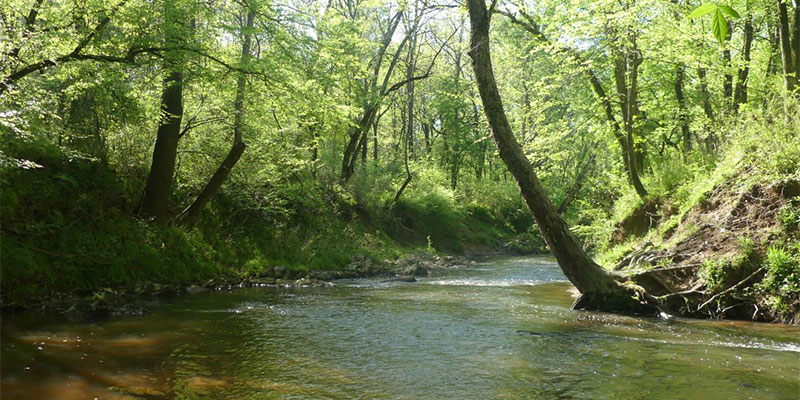 Thompson Creek