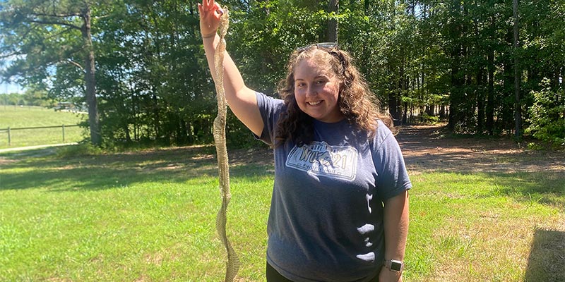 Snakes skin found with a length taller than Anna!