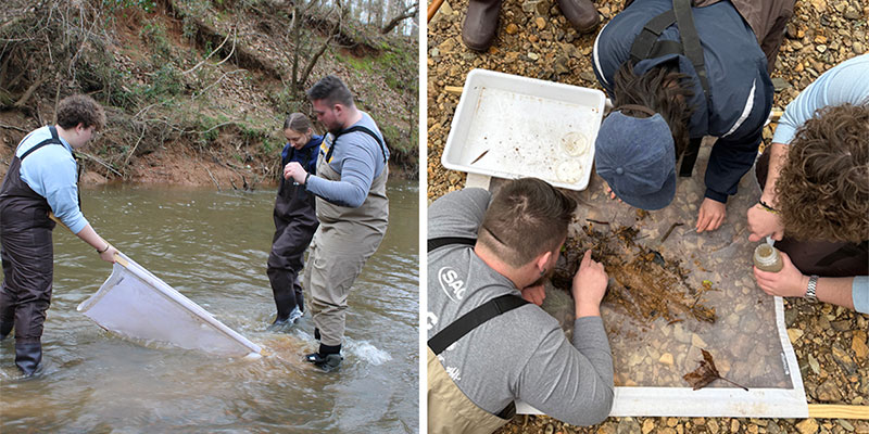 Macroinvertebrate Study Macroinvertebrate Study
