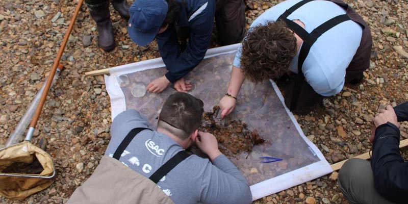 Learning macroinvertebrate sampling techniques. Learning macroinvertebrate sampling techniques.