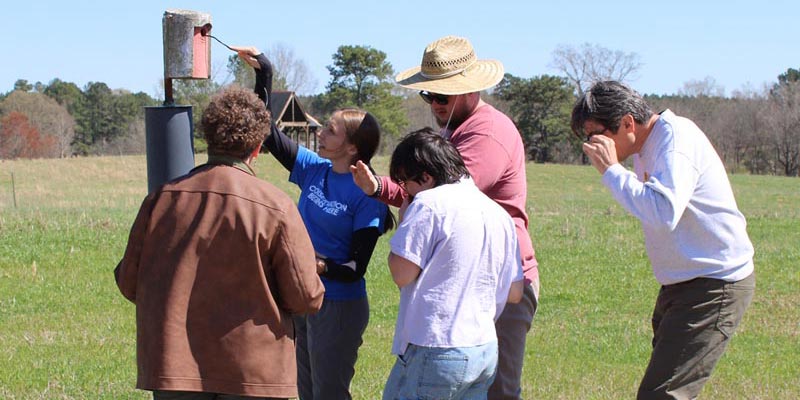 Interns participating in bird box monitoring using an endoscope to assess nesting stages.