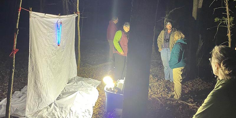 Carolina Butterfly Society nighttime insect survey.