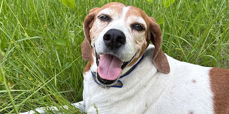 Field assistant Smiley.