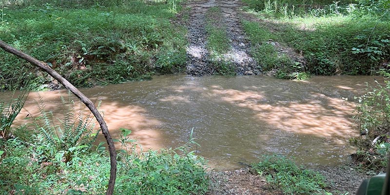 Recent heavy rains had turned some trails into shallow creeks.