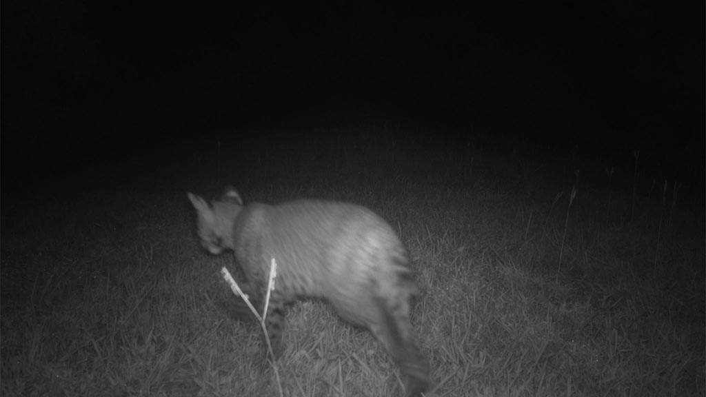 250722-M01-Fireworks-013