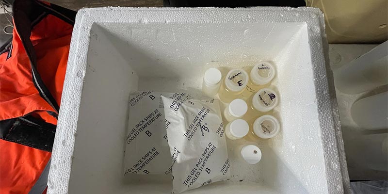 When we test E. coli, we collect a small water sample in a sterile bottle and take it back to the lab.