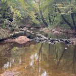 Tracking Bacteria in Thompson Creek