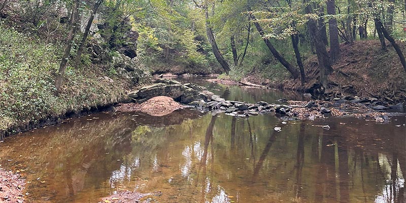 Tracking Bacteria in Thompson Creek