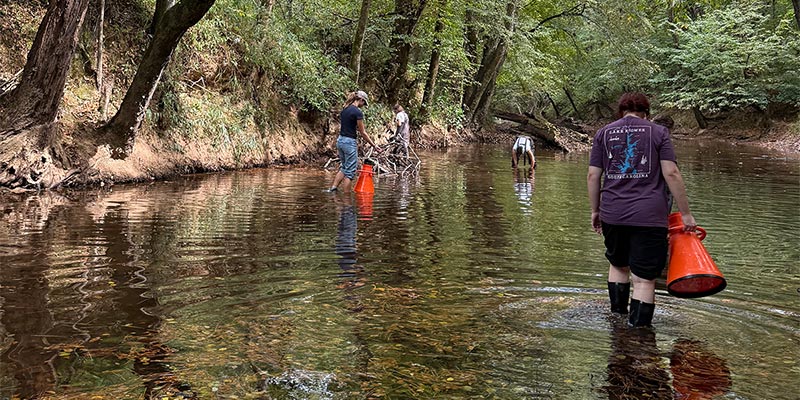 Interns suited up with waders and bathyscopes to survey Freshwater Mussels in the creek.