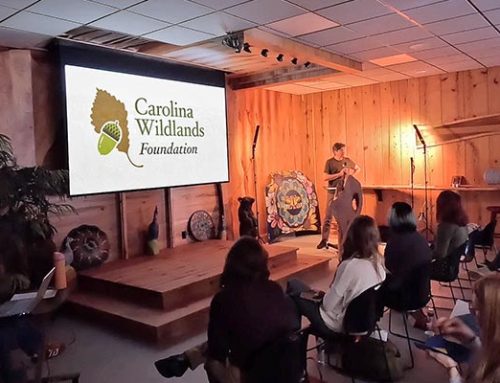 Fall Field Biology Final Presentations