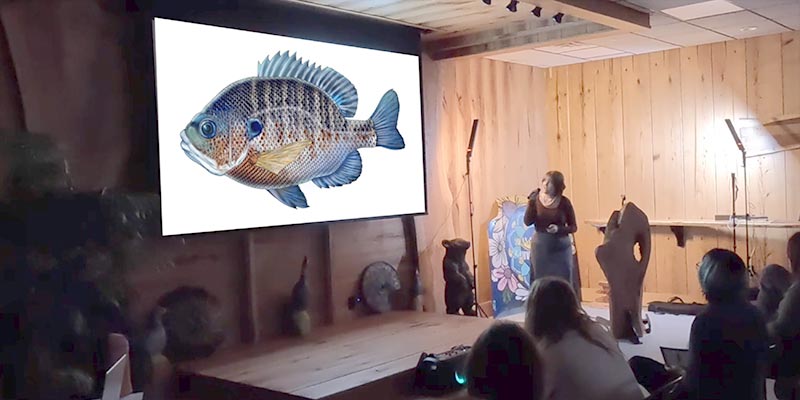 Presentation Presentation