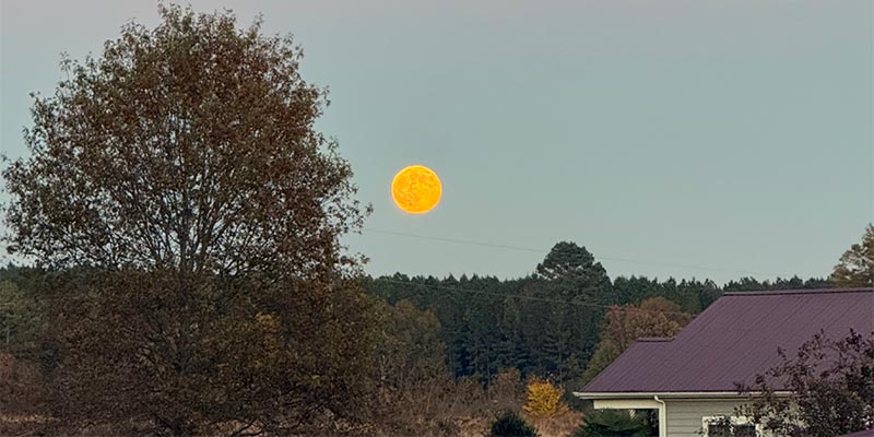 Moon Rise or Moon Set?