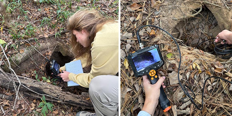 Ella with an endoscope.