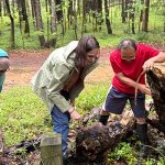 Four-week paid Summer Field Research Internship in Piedmont Ecology.
