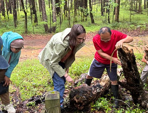 Announcing our New Summer 2026 Field Research Internship Intensive