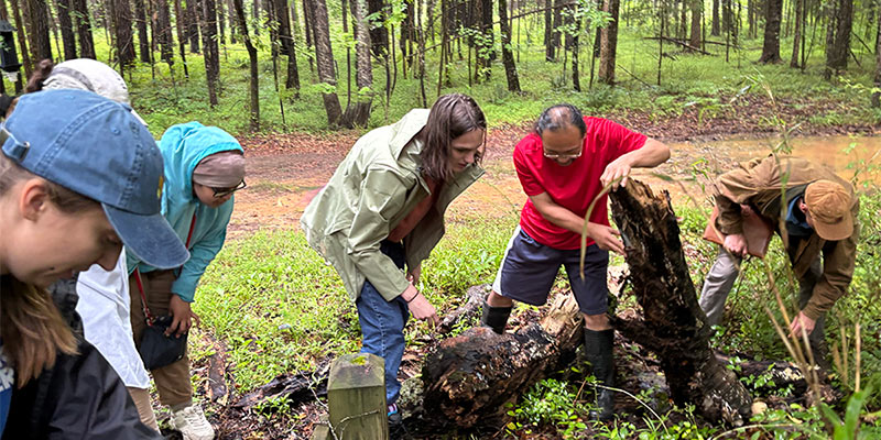Four-week paid Summer Field Research Internship in Piedmont Ecology.