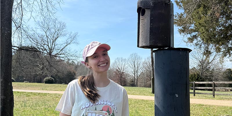 01-Morgan-season-for-bird-boxes Seasonal Birds