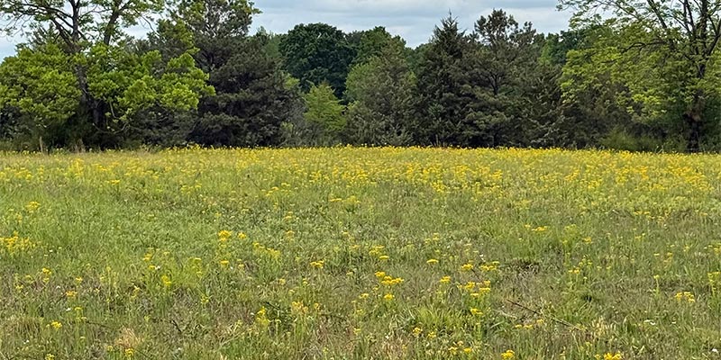 April 2026 Field Notes