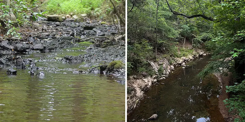 Creek Testing