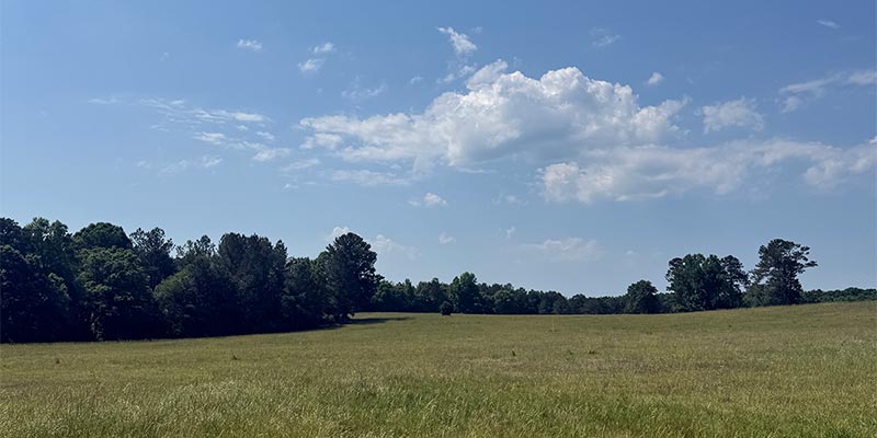Clear Skies