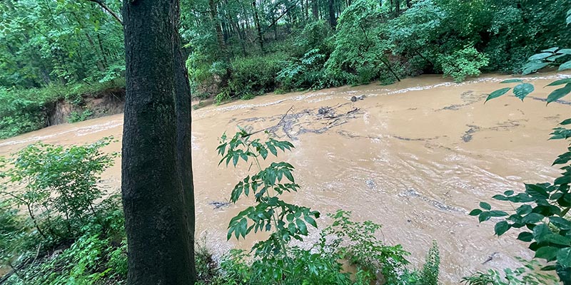 High Creek