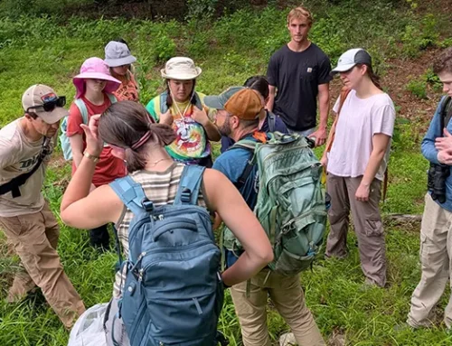 Young Scientists Ask Questions – Seek Answers