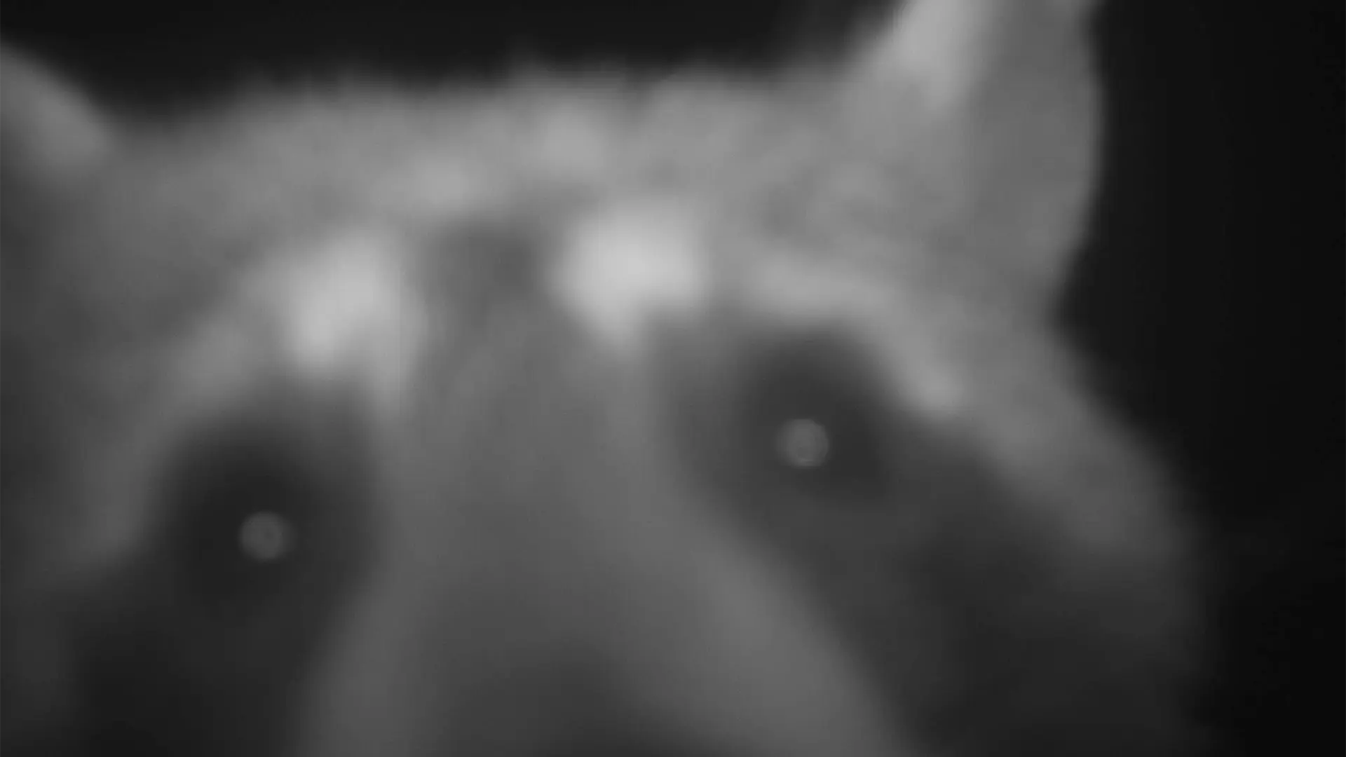 260616-M03-Chris-026