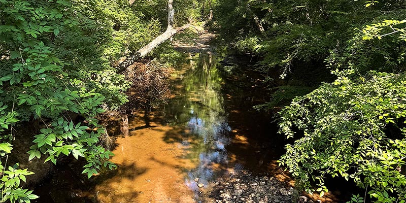 Orange Creek