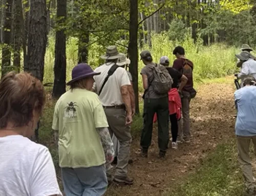Carolina Butterfly Society 2026 Symposium