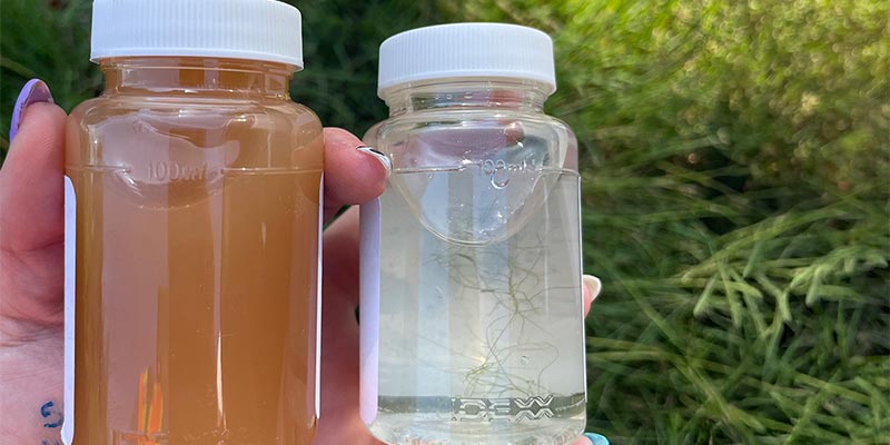 Water Samples Water Samples