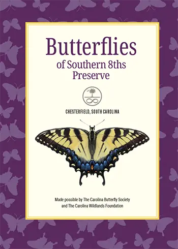 Butterflies of Southern 8ths Preserve