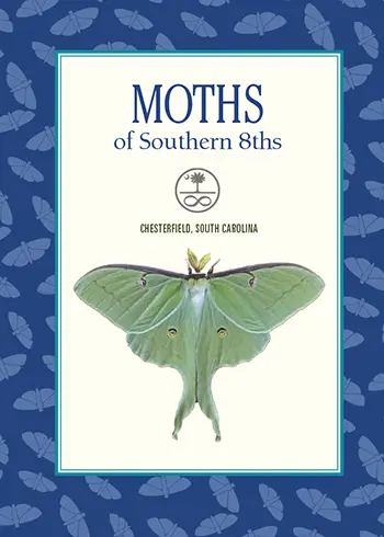 Moths of Southern 8ths