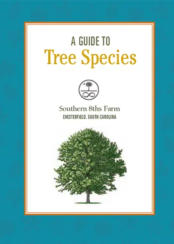 A GUIDE TO Tree Species